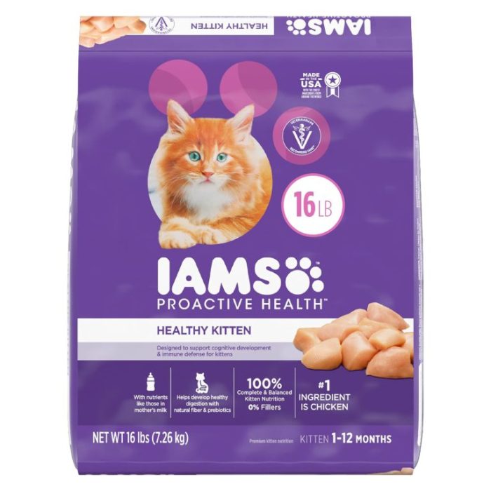 Best dry cat food for kittens 2025