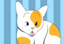 Down Syndrome In Cats: A Vet Explains