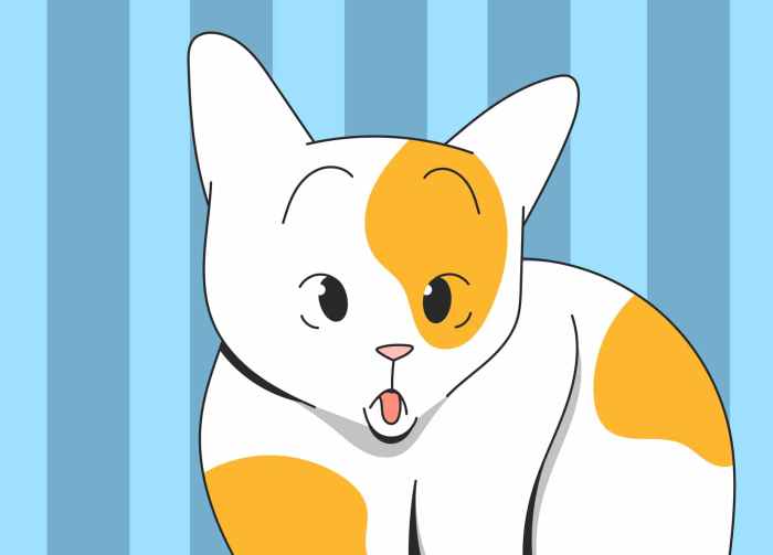 Down Syndrome In Cats: A Vet Explains