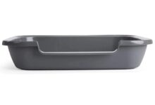 Litter boxes for senior cats