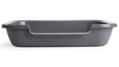 Litter boxes for senior cats