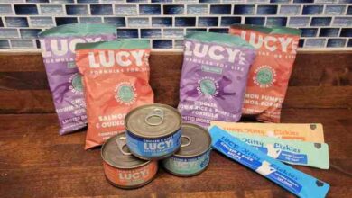 10 Cat-Friendly Foods Rich in Iron - Cats.com