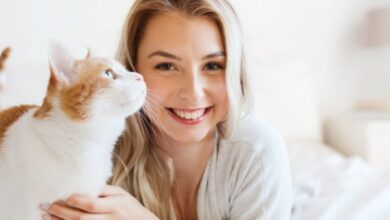 No Pedialyte for Cats! - Goathouse Refuge