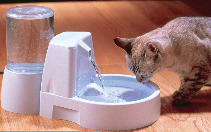 The Best Cat Water Fountains Under 0 -- and Where To Buy