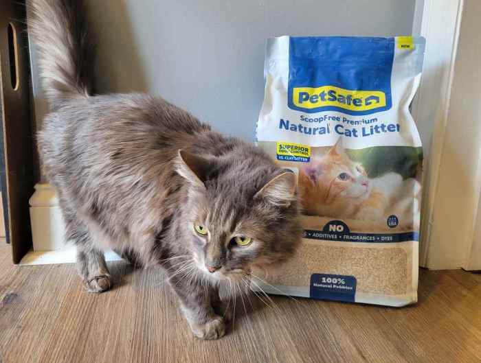 The 8 Best Cat Litters for Multiple Cats: Unbiased Review - Cats.com