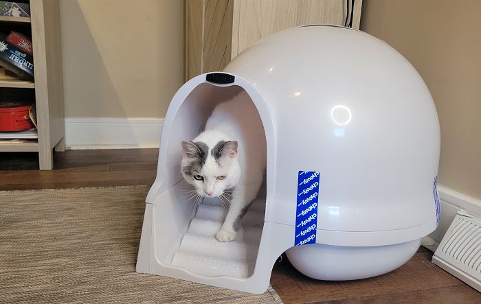 The 8 Best Dog-Proof Cat Litter Boxes - Cats.com