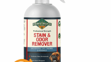 The Best Enzyme Cleaner For Cat Urine To Keep Smells Away!