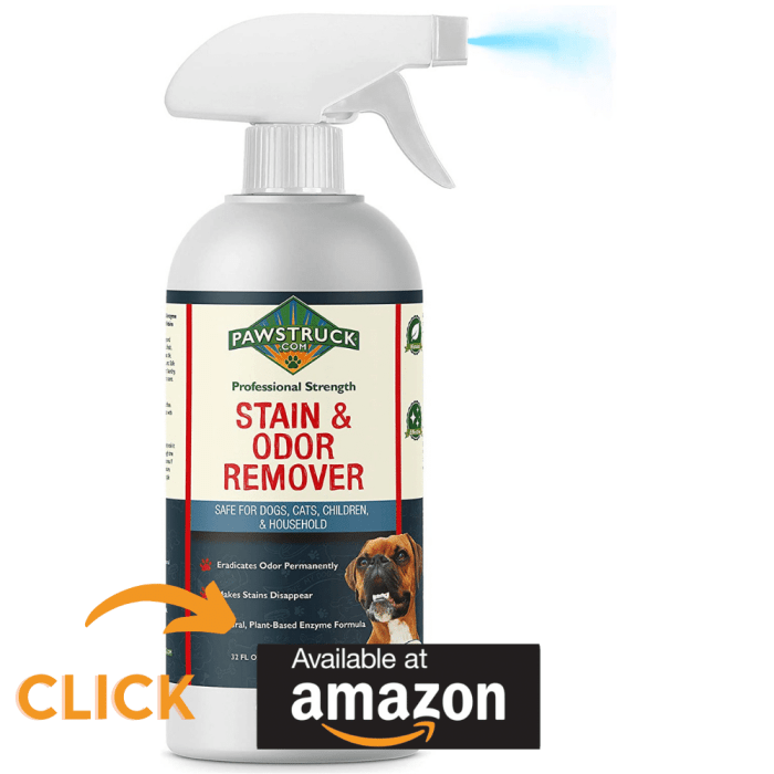 The Best Enzyme Cleaner For Cat Urine To Keep Smells Away!