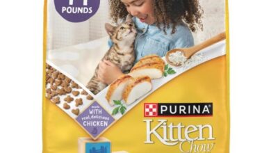 Healthiest kitten food