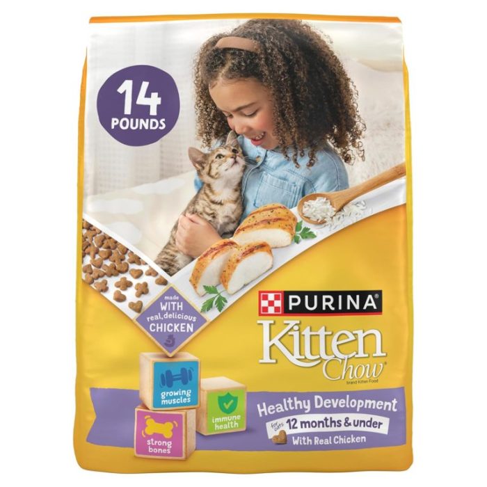 Healthiest kitten food
