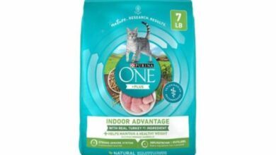 Purina One Cat Food Reviews - Love Your Cat