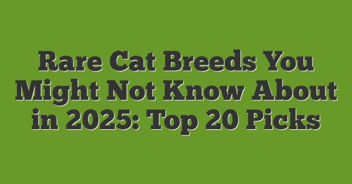 Rare Cat Breeds and Their Unique Traits | PCH