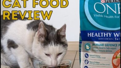 Purina Cat Food Review Uk at George Jelks blog