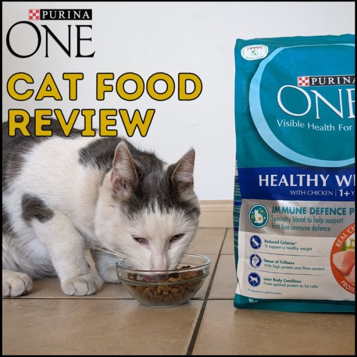 Purina Cat Food Review Uk at George Jelks blog