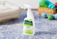 Nature's Miracle Cat Urine Destroyer Plus Enzymatic Stain Remover Foam ...