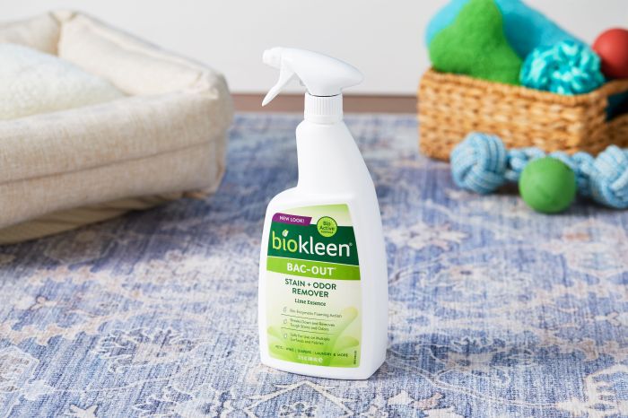 Nature's Miracle Cat Urine Destroyer Plus Enzymatic Stain Remover Foam ...