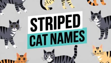 240 Unique Tiger Striped Cat Names - Your Pets at Home