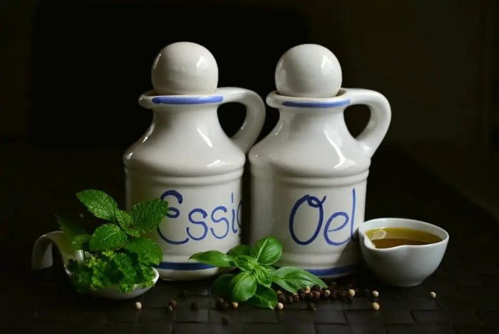 Is Vinegar Harmful To Cats? Everything You Need To Know | PetShun