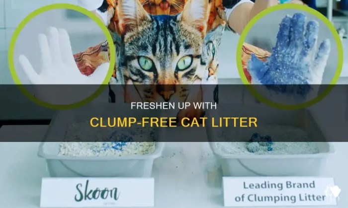 The Best Non-tracking Cat Litter for Your Clawed Companion