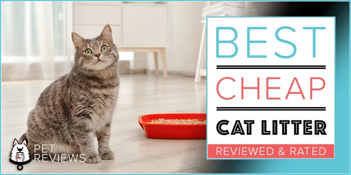 Low cost cat litter