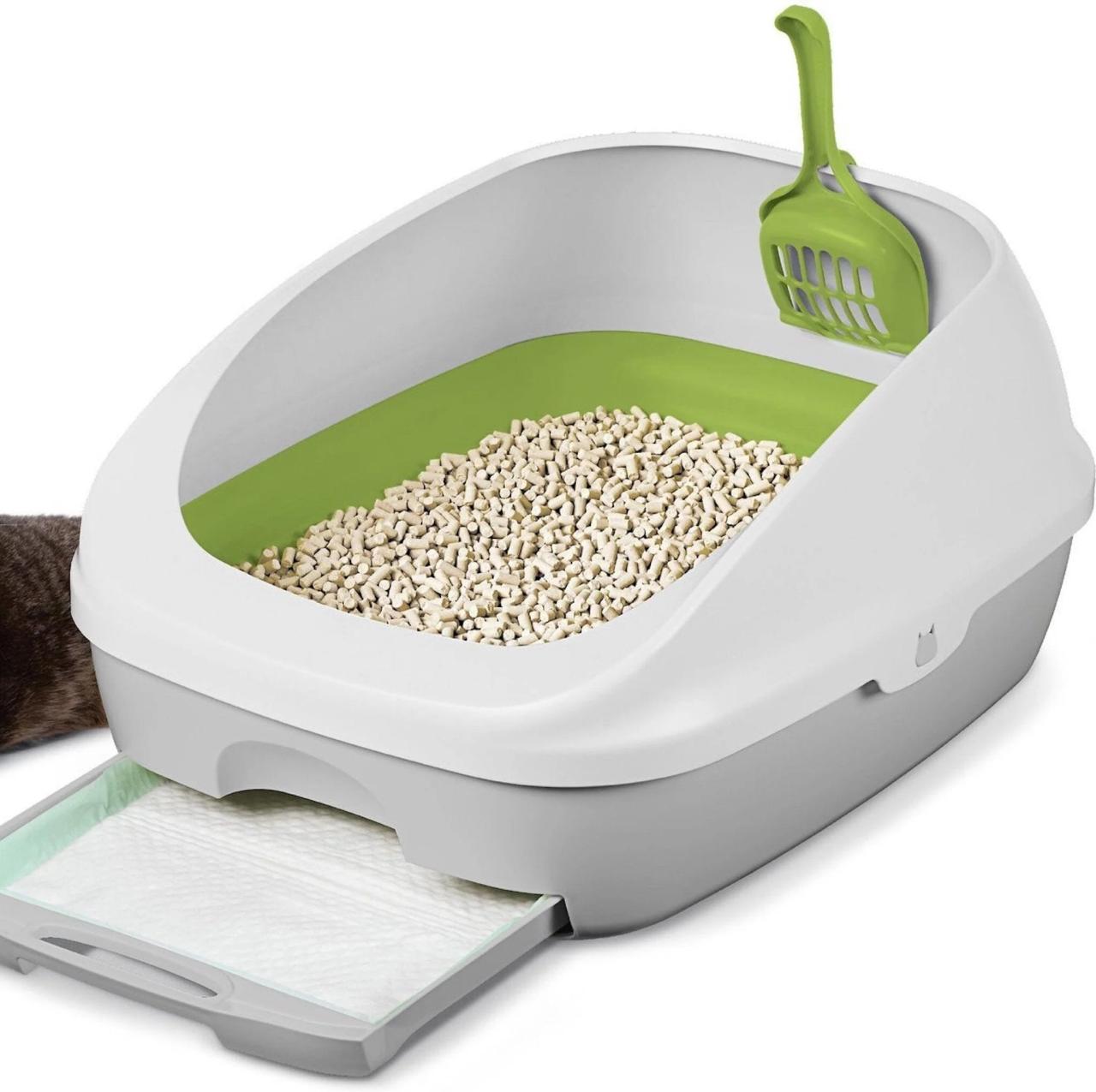 Best litter box for odor control