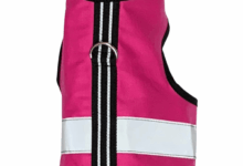 The 5 Best Cat Harnesses for Adventurous Felines - The Fluffy Kitty