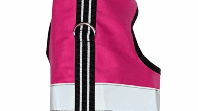 The 5 Best Cat Harnesses for Adventurous Felines - The Fluffy Kitty