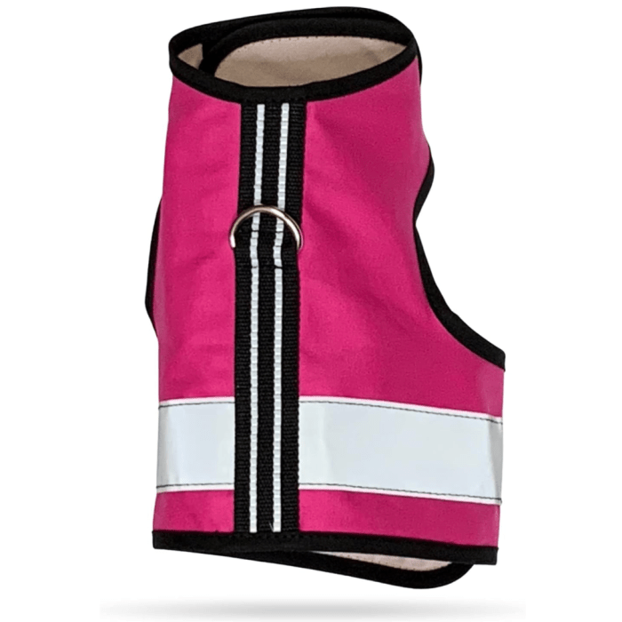 The 5 Best Cat Harnesses for Adventurous Felines - The Fluffy Kitty