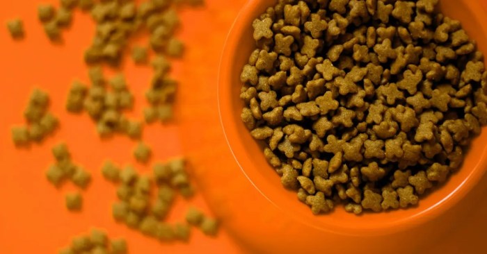 Cat Food Recalls Roundup — All Brands Impacted in 2025