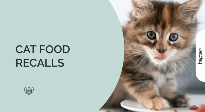 Cat Food Recalls 2026 | See If Your Brand Has Been Recalled!