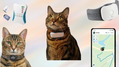 Best Cat GPS Trackers in 2025 (Designed for Cats) | Technomeow