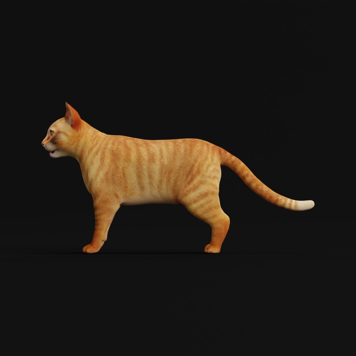 Orange Tabby Cat - Superhive (formerly Blender Market)