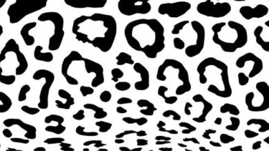 Cheetah Print Pattern SVGs for Free Download