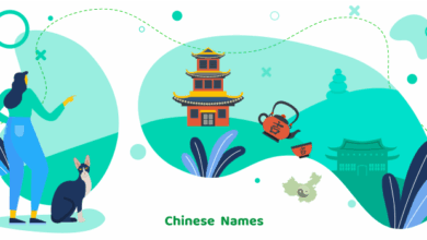 A Fun Chinese Guide for Naming Cats, Dogs, Birds, and More!