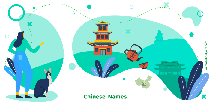 A Fun Chinese Guide for Naming Cats, Dogs, Birds, and More!