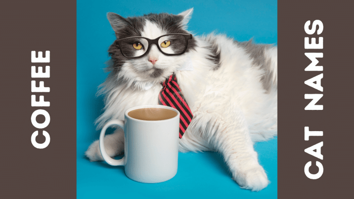 50+ Unique Cat Cafe Name Ideas