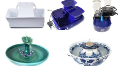 5 Top Ceramic Cat Fountains Review