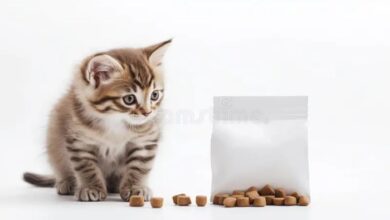Cat and Dog Dry Food Packaging Design - Ali Satır | Packaging design ...