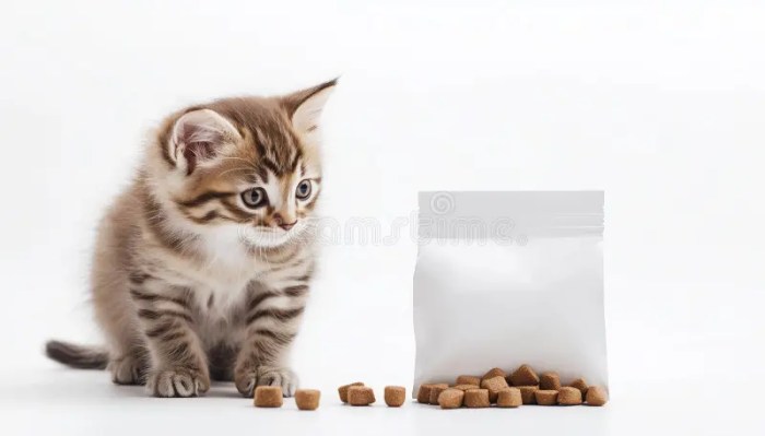 Cat and Dog Dry Food Packaging Design - Ali Satır | Packaging design ...