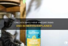 Can Cats Safely Have Vinegar? Risks And Benefits Explained | PetShun