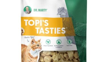 Dr Marty Cat Food