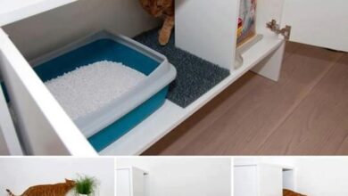 Enclosed Litter Box with Lid, X-Large Foldable Cat Litter Box, Covered ...