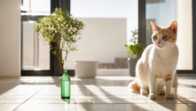 Why Do Cats Like the Smell of Bleach? Vet-Reviewed Feline Behavior ...