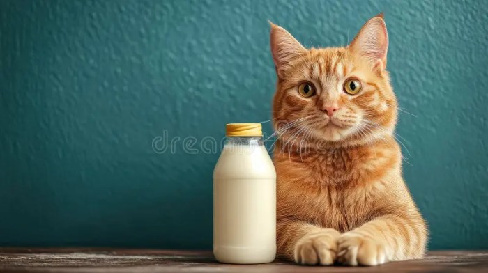 Cute Fluffy Ginger Cat Meowing Asking Stock Vector (Royalty Free ...