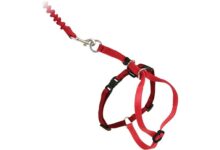 11 Best Cat Harnesses That Keep Your Kitty Comfortable