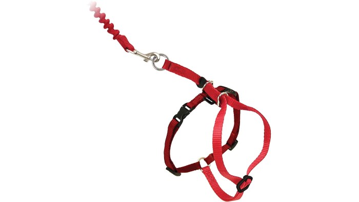 11 Best Cat Harnesses That Keep Your Kitty Comfortable