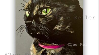Calico Cat Vs. Tortoiseshell - What's The Difference