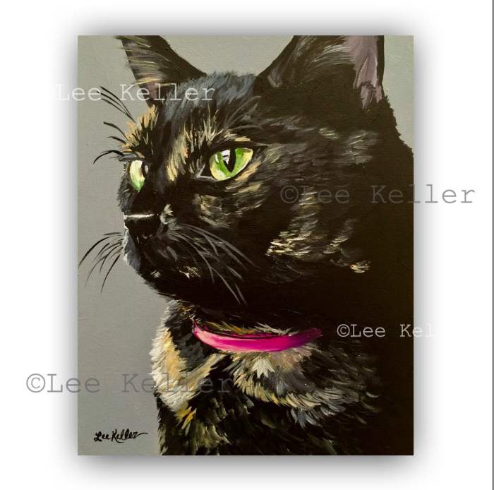 Calico Cat Vs. Tortoiseshell - What's The Difference