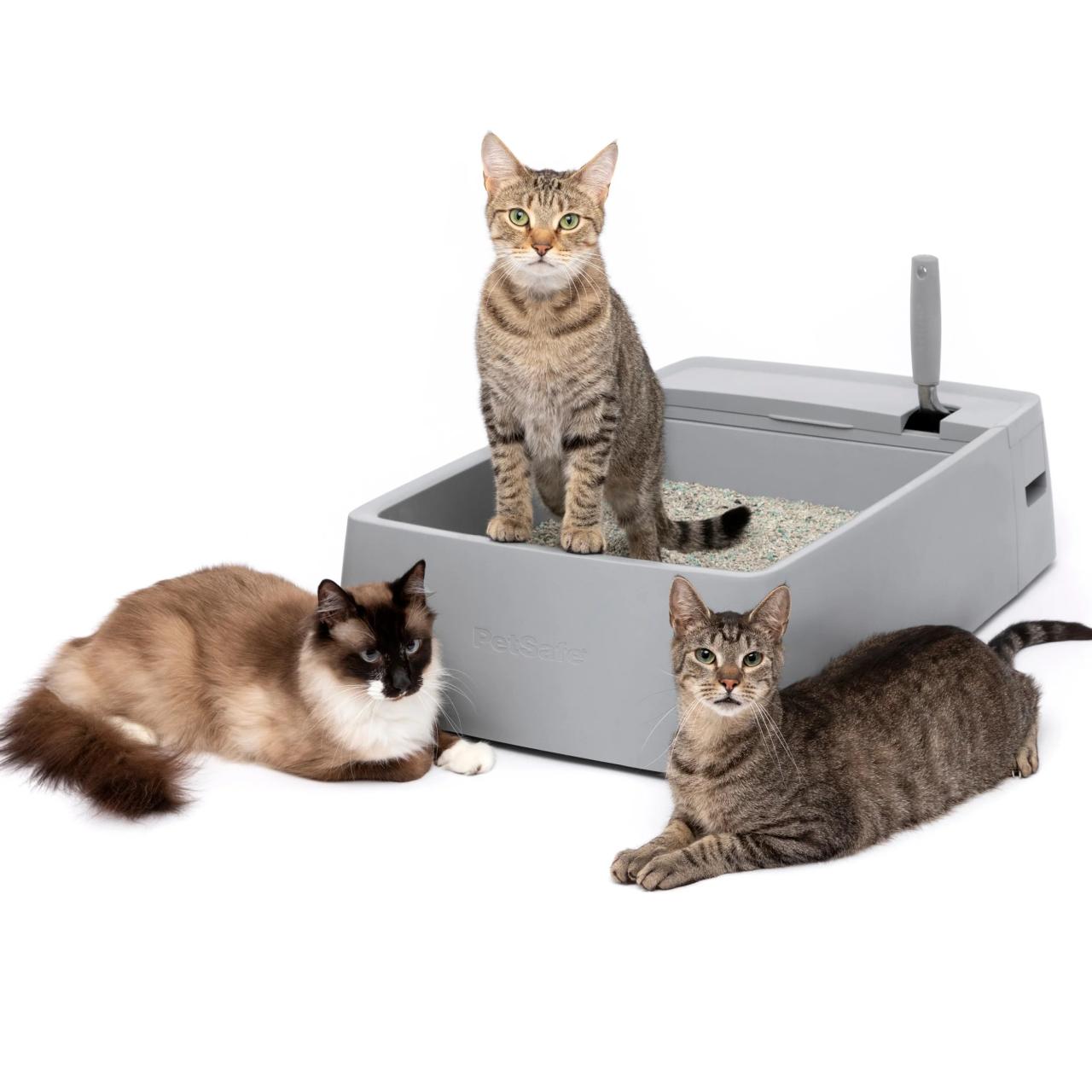 Multi-Cat Litter Box