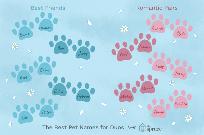 250+ Twin Cat Names for Sibling Duo Cats | PetPress